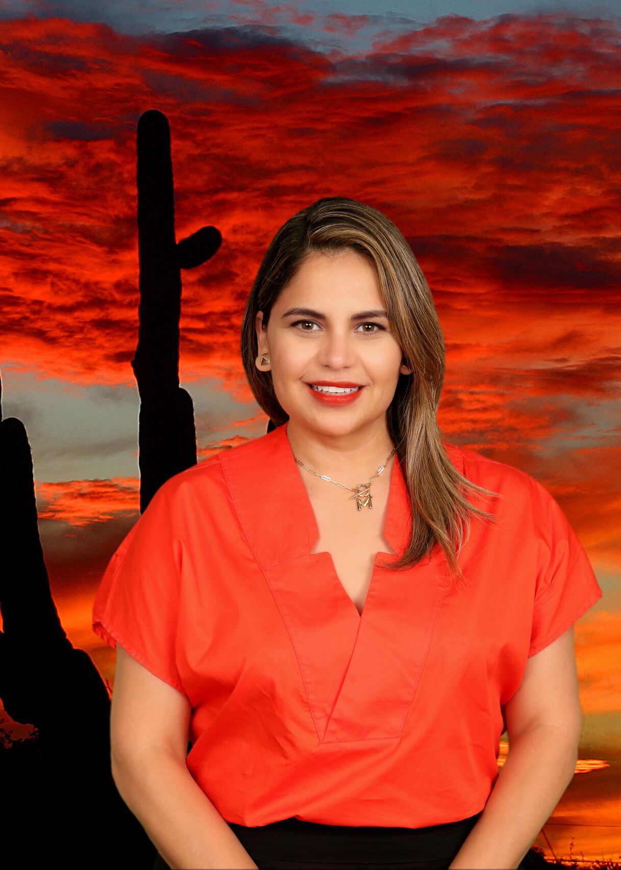 Marisol Vindiola (resumen)